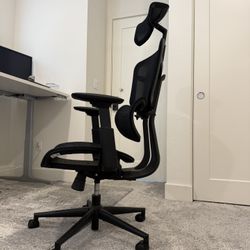 Ergonomic Office Chair 