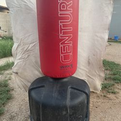 punching bag