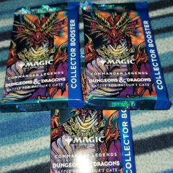Magic Dungeons and Dragons Collector Edition