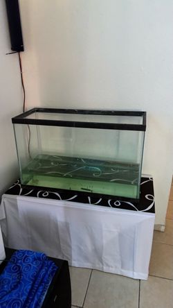 Fish tank
