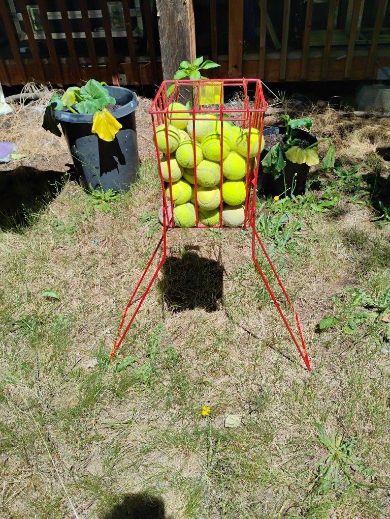 Tennis Ball Hoppe/Caddy $20