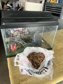 Fish tank