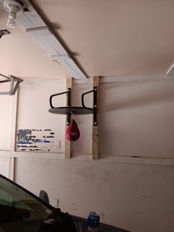 Speedbag/punching bag