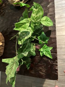 Terrarium/Aquarium Decorations