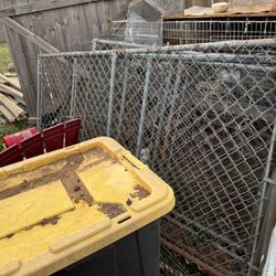 Multiple Dog Kennels 