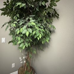 Fake House Plant Tree