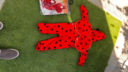 Lady. Bug.  Disfraz. De. Bebe.