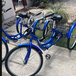 2 Schwinn Adult Tricycle 