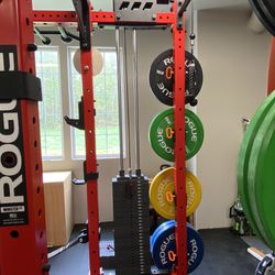 rogue fitness monster lite slinger with weight stack