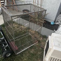 Bird Cage