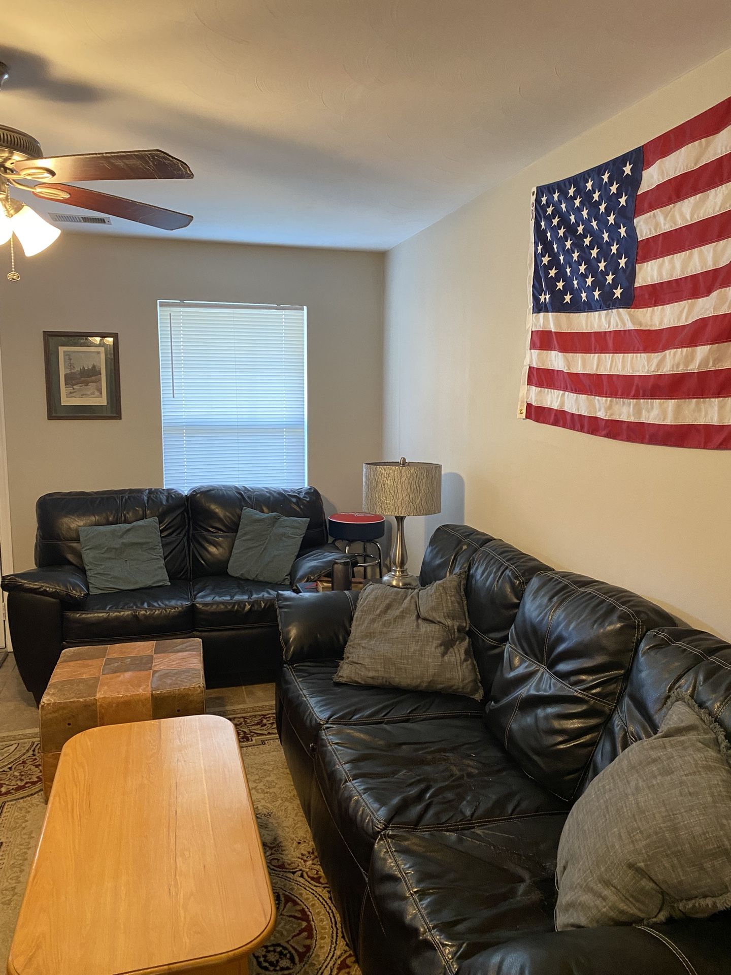 Leather couches