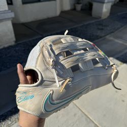 Nike Glove 