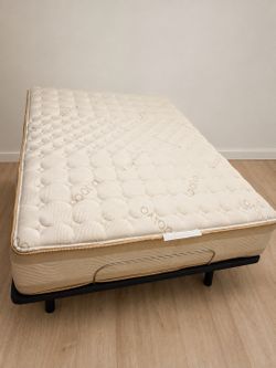 Saatva - Rx Queen Mattress (mattress only)