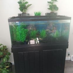 40 Gallon Fish Tank Combo 
