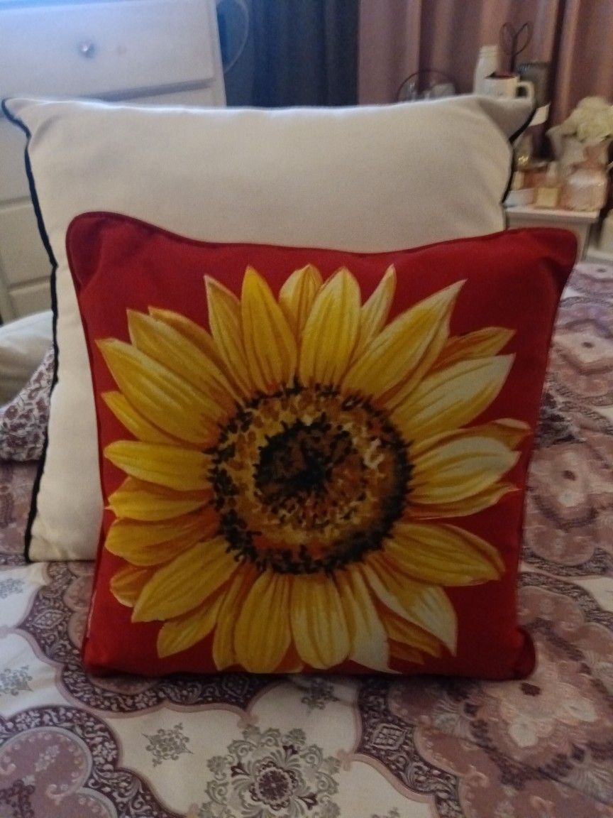 Cute Throw Pillow Like New