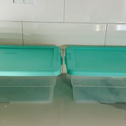 2 plastic storage containers for sale
