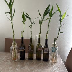 Boteyas Con Bambú 