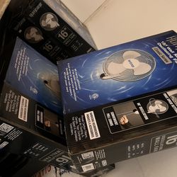 Wall Mounted Fans