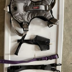 Kong Bodie Harness, , Collar & Muzzle 