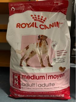 Food for your dog