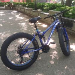 Fat Tire Bike