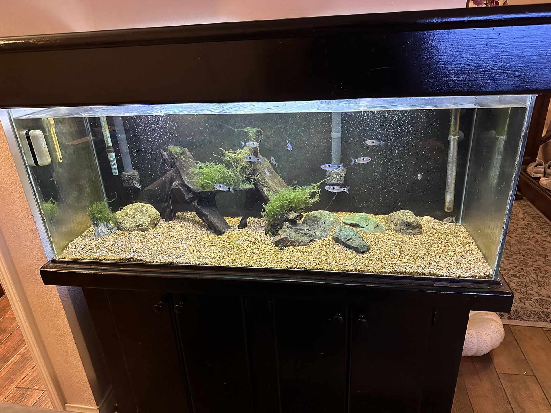 75 Gallon Fish Tank And Stand for Sale in Brea, CA OfferUp