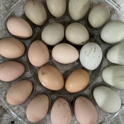 Colorful Eggs For Sale
