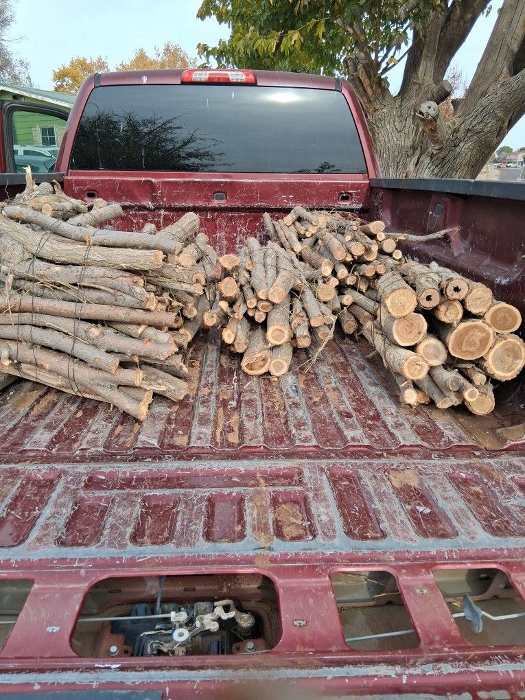 Firewood Bundles