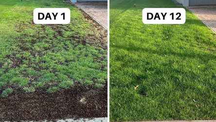 Irrigation sprinklers reseed grass