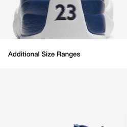 Size 11 Air Jordan 12 indigo