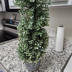 Plastic Plant For Only 5$