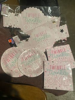 1st Bday For Twin Or Single One Year Old Girl