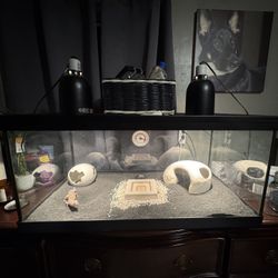 Apollo, Cage And Items 