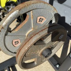 WEIGHTS - 2 Discs Of 45lbs And 2 Discs Of 25lbs