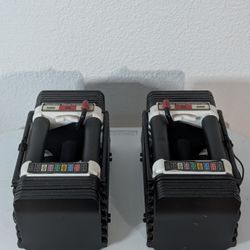 Power Blocks 45lb Pair