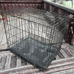 Dog Cage 