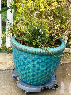 Large pot and Stand