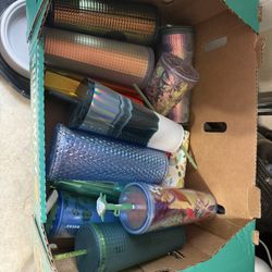 Starbucks Cups