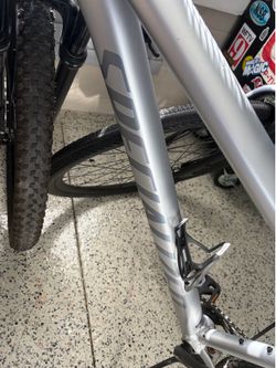 2025 Specialized Rockhopper Expert