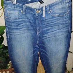 Women's Lane Bryant Jeans Size 18 Regular