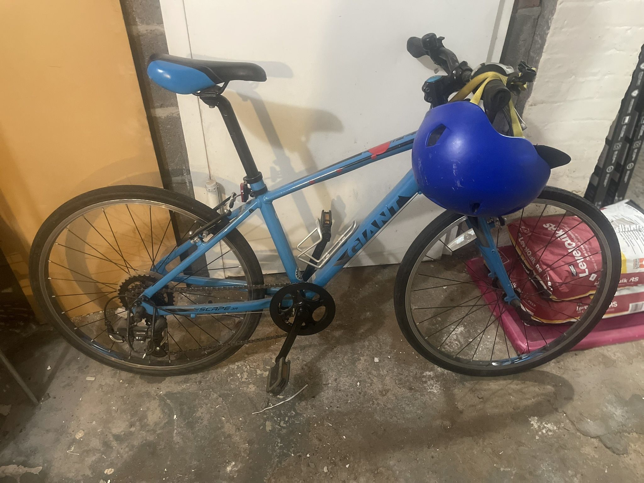 Giant Escape Jr 12 Inch Frame Bicycle