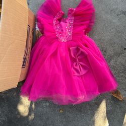 Princess Girl Flower Dress Tulle