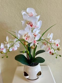 Orchid Arrangement in White Ceramic Pot