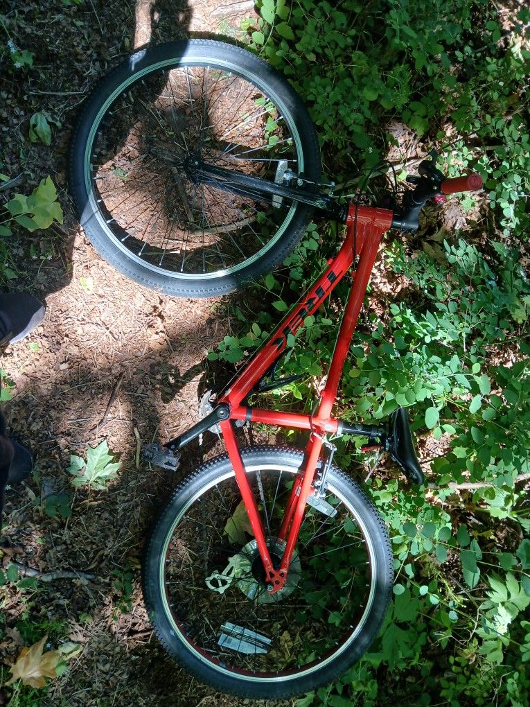 Trek Small