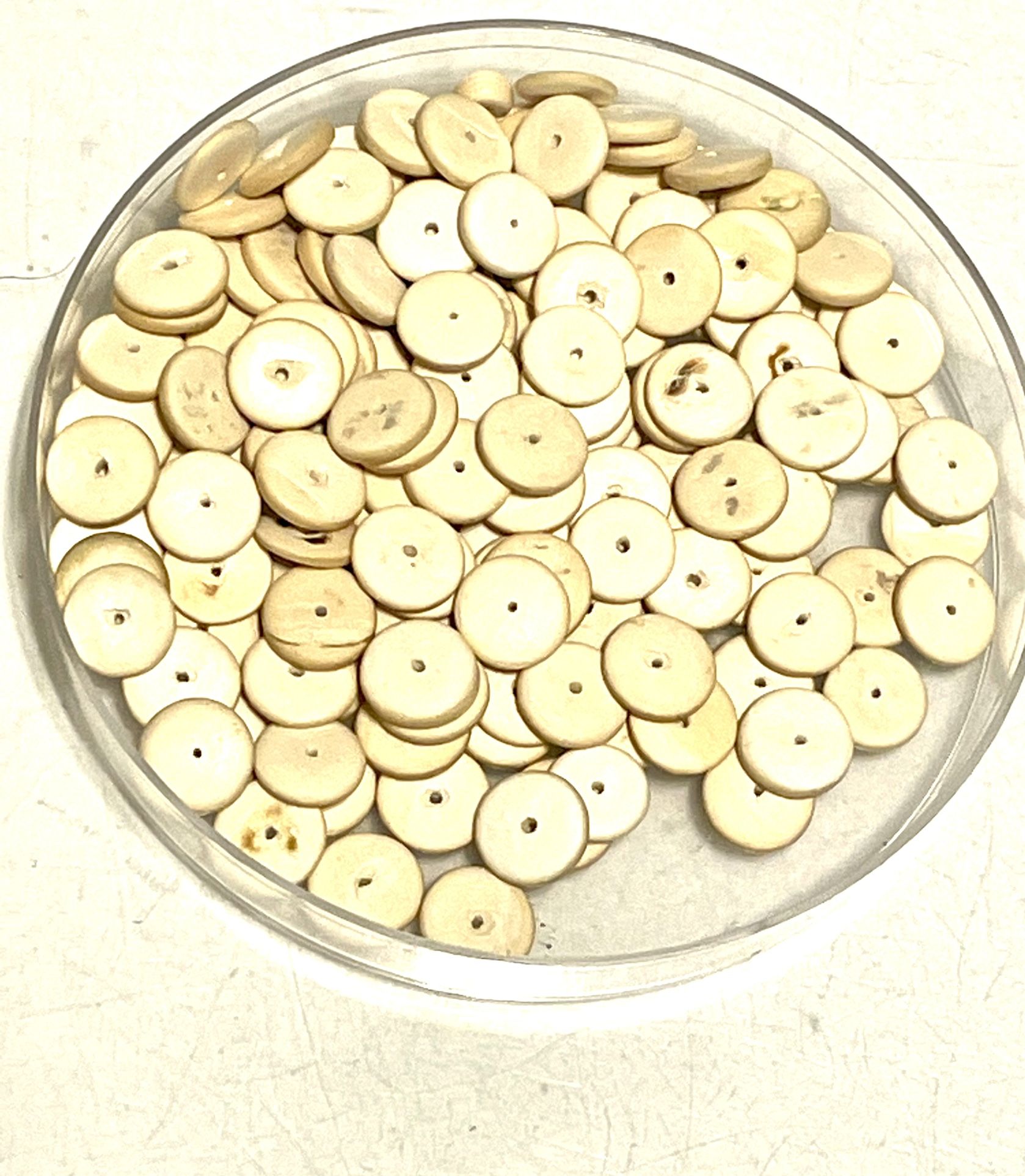 Lot Of 3x10 Bone Disc Beads