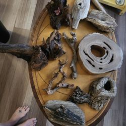 Misc Driftwood Pieces