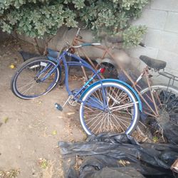 Beach Cruiser