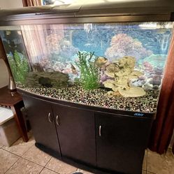 95 Gallon Fish Tank 
