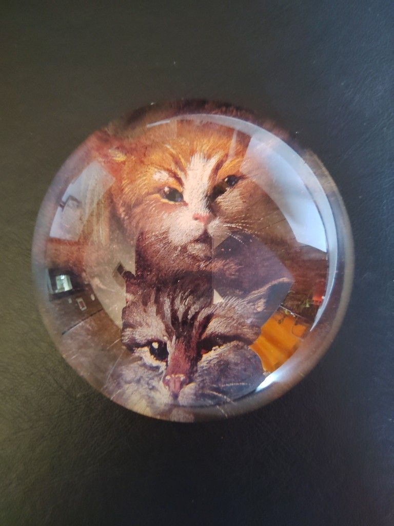 Kitty Cats Glass Dome Paperweight Precious!