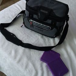 Cooler With 2 Ice Packs